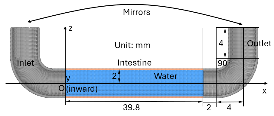 _images/dimension-intestine.png